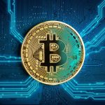 Digital Wallets and Exchanges Today