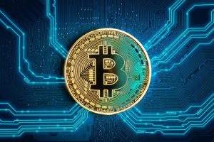 Digital Wallets and Exchanges Today